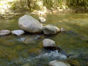 Cours d'eau au coeur de la forêt de jijel