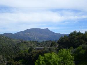 الغابات المجاورة لقرية المروج