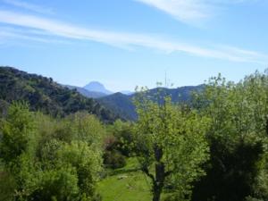 منظر من ضواحي قرية المروج 2