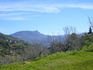 منظر من الحقول الخضراء بضواحي قرية المروج 2