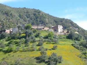 منظر طبيعي بضواحي  الكريمة