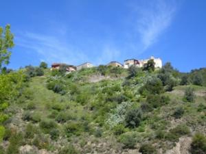 منظر طبيعي بضواحي  الكريمة  2