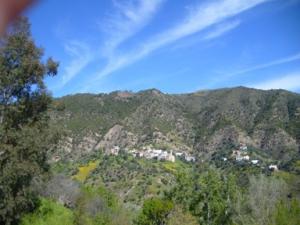 منظر من الجبال المحيطة بقرية  الكريمة  3