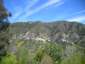 منظر من الجبال المحيطة بقرية  الكريمة  4