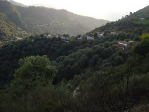 Le village d'Ouled Messaoud au coeur de la forêt Jijelienne