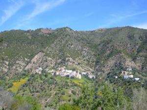 منظر من الجبال المحيطة بقرية  الكريمة  5