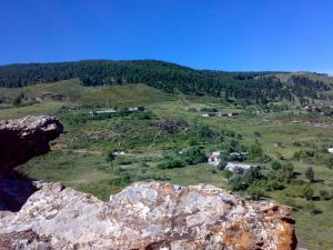 Verdure de la forêt Jijelienne