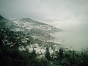 La forêt de Tassala sous la neige