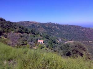 Verdure de Jijel au printemps