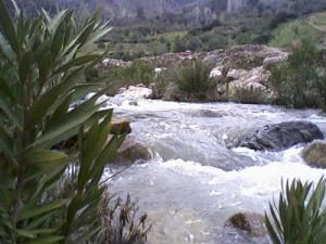 Oued Grayou aux alentours de Jijel