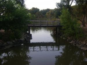 Le Parc naturel de Ziyama Mansouria (Wilaya de Jijel)