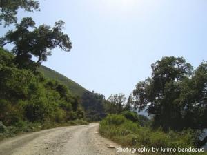Route De Erraguene Et babor(Wilaya de Jijel)