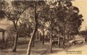 Ancienne photo de Jijel