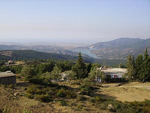 Verdure sur la commune de Texenna