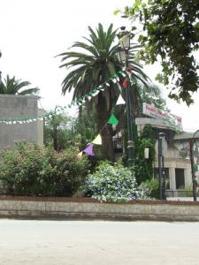 Place des Martyrs au centre ville d'El Milia