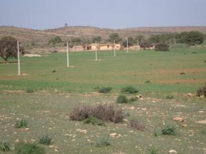 Une ferme aux alentours de Saida