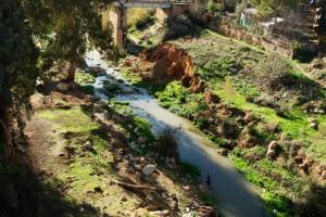 Paysage de Saida au Printemps