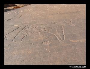 منحوتات ما قبل تاريخية على بعد 17 كم من مدينة تاغيت