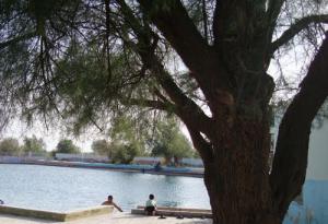 Le Lac de Ain Skhouna