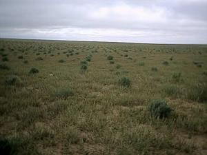 Koudiat brahim apres deux ans