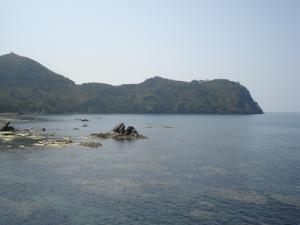 Verdure sur la côte de Jijel
