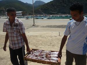 صيادون بميناء 