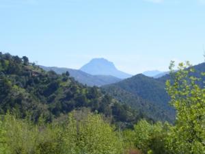 منظر من الحقول الخضراء بضواحي قرية المروج