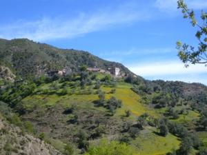 منظر طبيعي بضواحي 