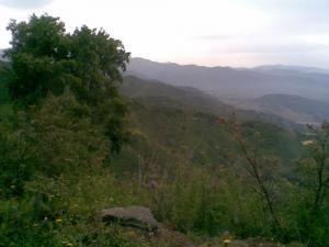 Verdure sur la région de Ouled Messaoud