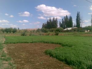 Agriculture à Douaha