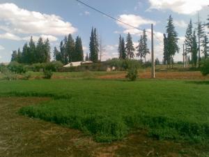 Agriculture à Douaha