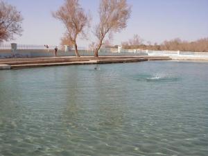 PISCINE THERMALE DE AIN-SKHOUNA