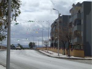 La Route Nationale N°92 menant à Saida