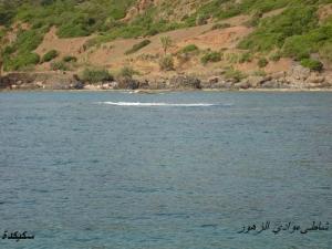 Plage Oued Zhour à Skikda