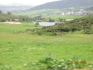 La Cité de Settara au coeur de la verdure (Wilaya de Skikda)