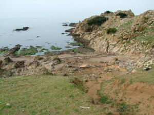 Vue sur Oued Zhour (Skikda)