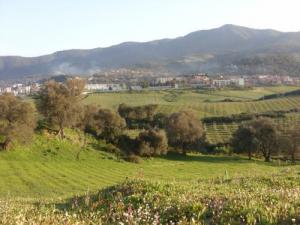 Champs agricoles sur la périphérie de Settara (Wilaya de Skikda)