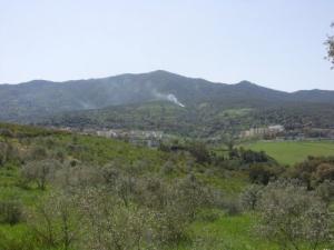 Vue d'ensemble sur la cité de Settara (Wilaya de Skikda)