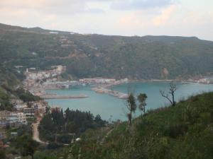 Forêt près de la plage Stora