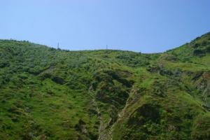 Les vertes montagnes de Skikda