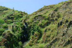 Verdure sur les hauteurs de Skikda