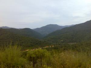 Les forêts montagneuses de Oued Zehour