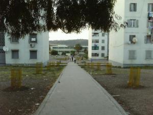 Un Quartier d'El Harrouch