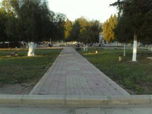 Une allée du jardin public d'El Harrouch