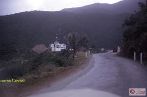 الطريق المؤدي إلى وادي القردة ببلدية شيفة