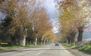 الطريق الرابط بين المدية و الشفة