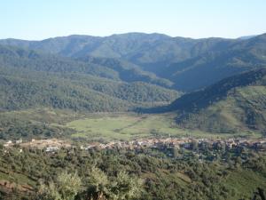 Paysage de Oued Zhour (Wilaya de Skikda)