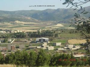 LA SALLE OMNISPORTIF D'EL HARROUCH