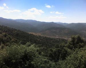 Verdure à Oued Zehour