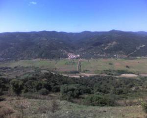 Verdure à Oued Zehour